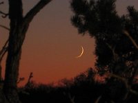 Sept 2006 new moon by John F.